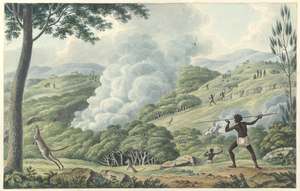 Using fire to hunt Kangaroos - Joseph Lycett, courtesy National Library